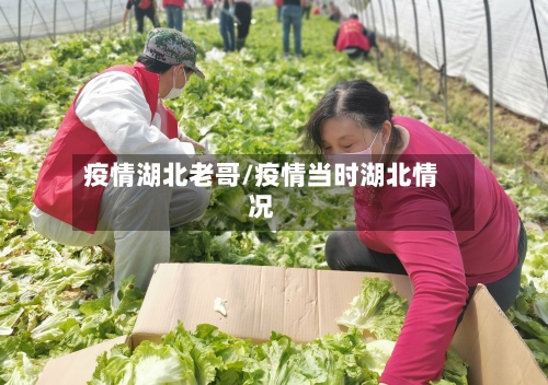 疫情湖北老哥/疫情当时湖北情况-第2张图片