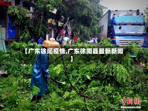 【广东徐闻疫情,广东徐闻县最新新闻】-第3张图片