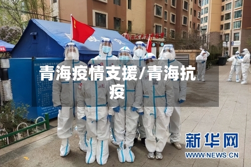 青海疫情支援/青海抗疫