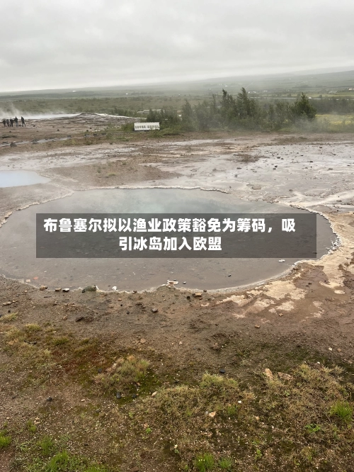 布鲁塞尔拟以渔业政策豁免为筹码，吸引冰岛加入欧盟-第2张图片