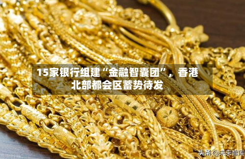 15家银行组建“金融智囊团	”，香港北部都会区蓄势待发-第2张图片