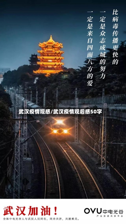 武汉疫情观感/武汉疫情观后感50字-第3张图片