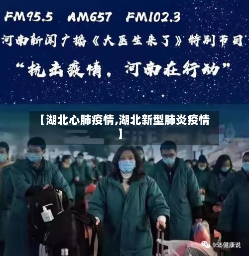 【湖北心肺疫情,湖北新型肺炎疫情】-第3张图片