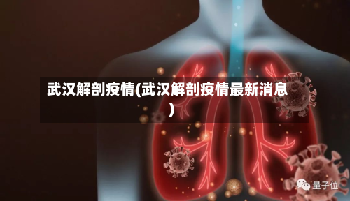 武汉解剖疫情(武汉解剖疫情最新消息)-第2张图片
