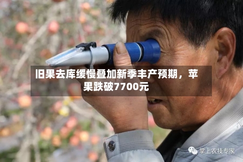旧果去库缓慢叠加新季丰产预期	，苹果跌破7700元-第2张图片
