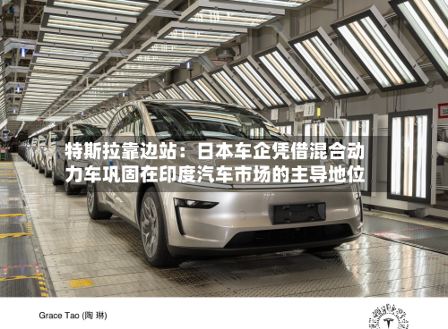 特斯拉靠边站：日本车企凭借混合动力车巩固在印度汽车市场的主导地位