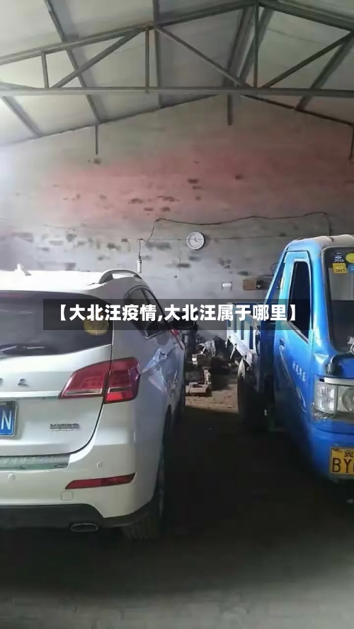 【大北汪疫情,大北汪属于哪里】-第2张图片