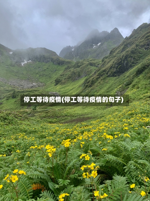 停工等待疫情(停工等待疫情的句子)