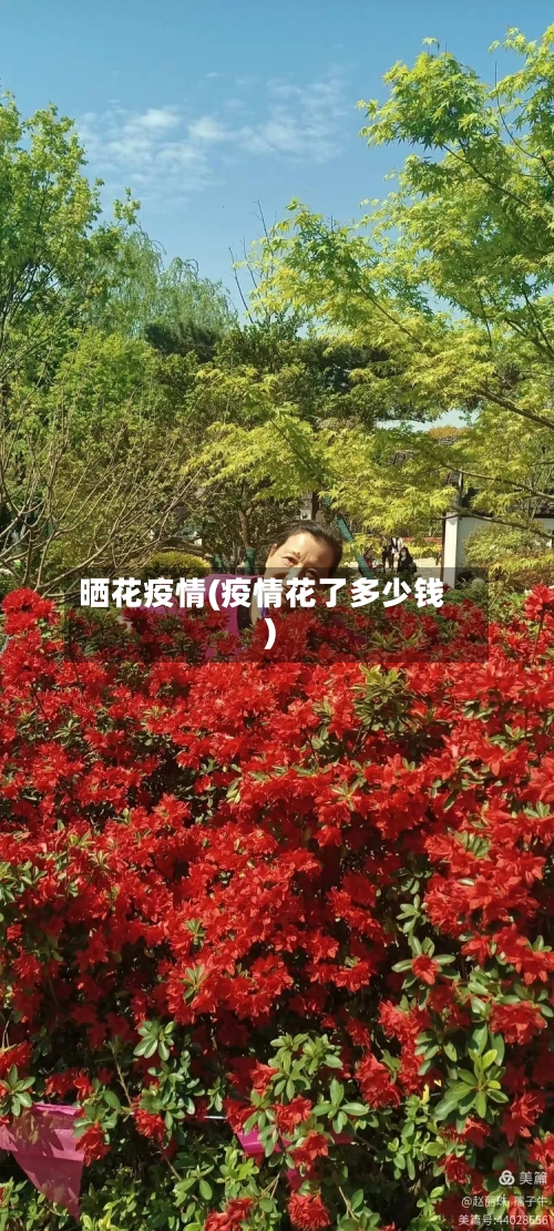 晒花疫情(疫情花了多少钱)