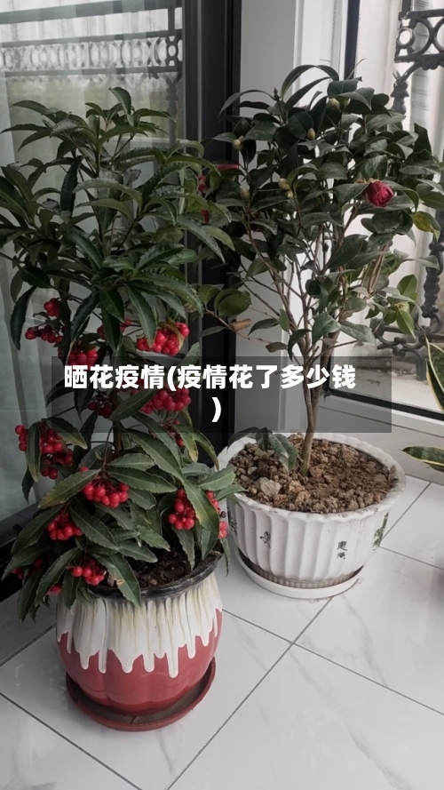 晒花疫情(疫情花了多少钱)-第3张图片