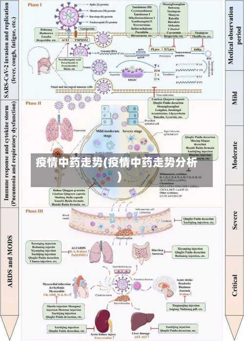 疫情中药走势(疫情中药走势分析)-第3张图片