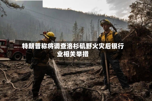 特朗普称将调查洛杉矶野火灾后银行业相关举措-第2张图片