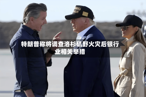 特朗普称将调查洛杉矶野火灾后银行业相关举措