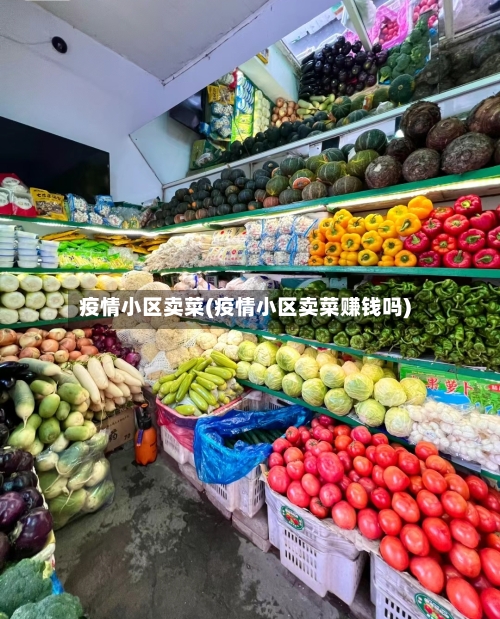 疫情小区卖菜(疫情小区卖菜赚钱吗)-第2张图片
