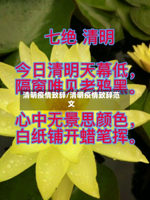 清明疫情致辞/清明疫情致辞范文-第3张图片