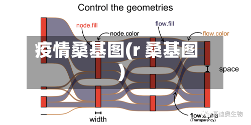 疫情桑基图(r 桑基图)-第3张图片