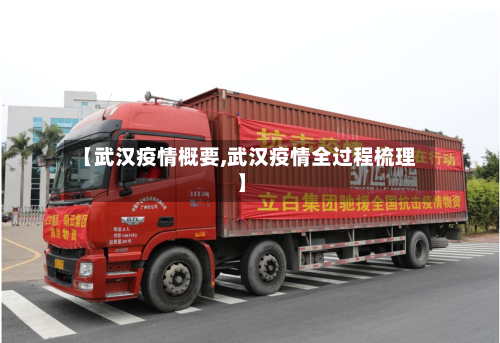 【武汉疫情概要,武汉疫情全过程梳理】-第2张图片