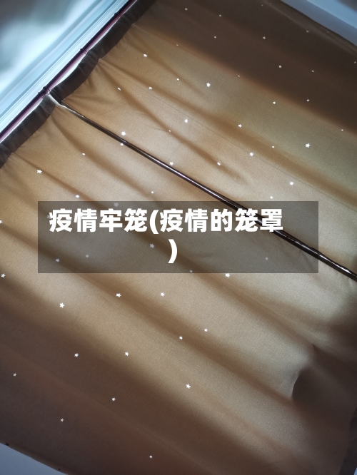 疫情牢笼(疫情的笼罩)-第2张图片