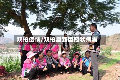 双柏疫情/双柏县新型冠状病毒-第2张图片