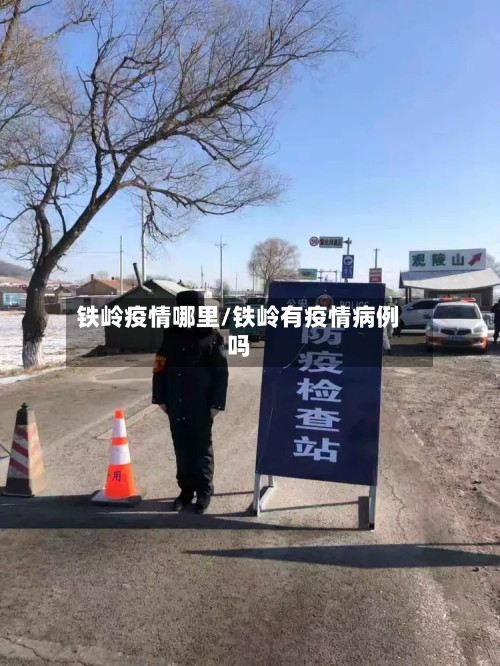铁岭疫情哪里/铁岭有疫情病例吗-第3张图片