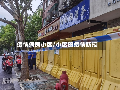 疫情病例小区/小区的疫情防控
