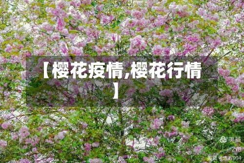 【樱花疫情,樱花行情】