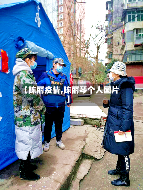 【陈丽疫情,陈丽琴个人图片】-第2张图片