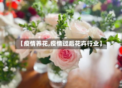 【疫情养花,疫情过后花卉行业】