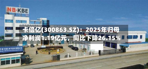 卡倍亿(300863.SZ)：2025年归母净利润1.19亿元，同比下降26.15%