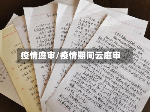 疫情庭审/疫情期间云庭审