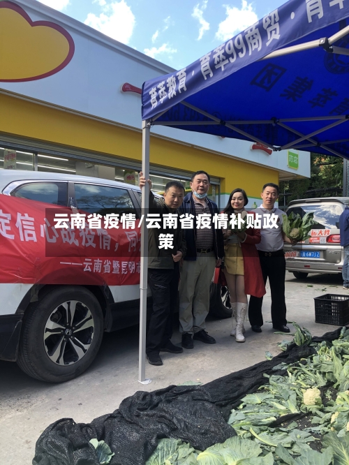 云南省疫情/云南省疫情补贴政策-第2张图片