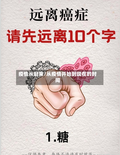 疫情从赶来/从疫情开始到现在的时间-第2张图片