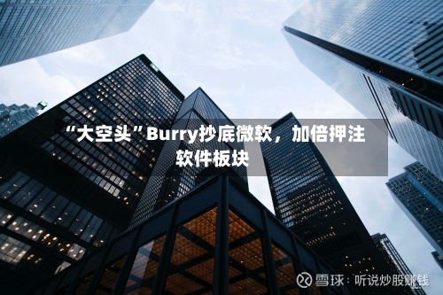 “大空头”Burry抄底微软，加倍押注软件板块-第2张图片