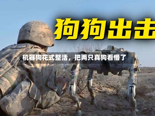 机器狗花式整活	，把两只真狗看懵了-第2张图片