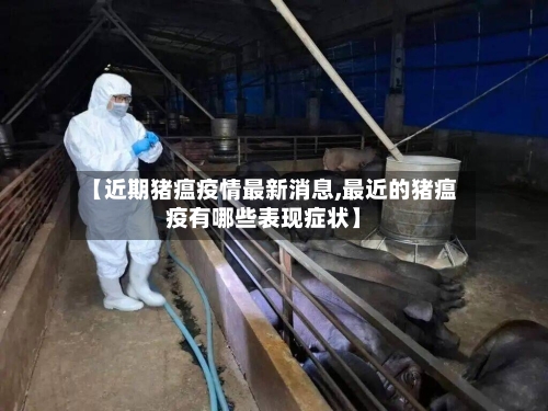 【近期猪瘟疫情最新消息,最近的猪瘟疫有哪些表现症状】