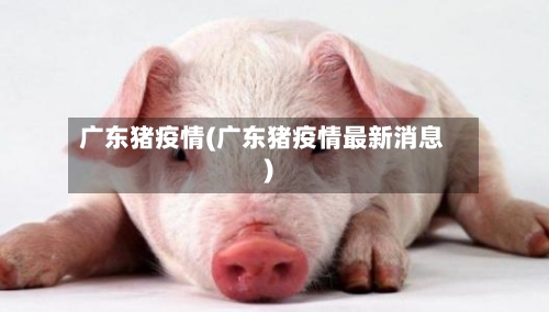 广东猪疫情(广东猪疫情最新消息)