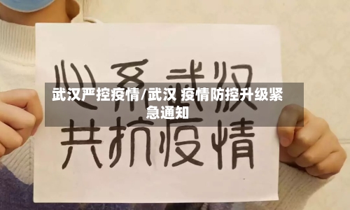 武汉严控疫情/武汉 疫情防控升级紧急通知-第3张图片