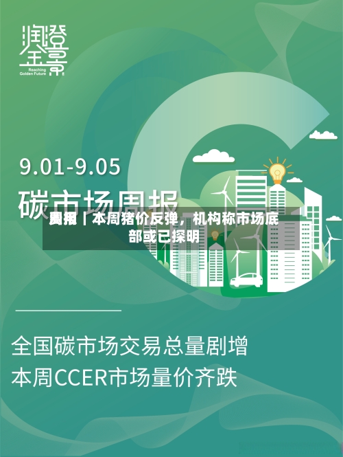 费用周报｜本周猪价反弹，机构称市场底部或已探明