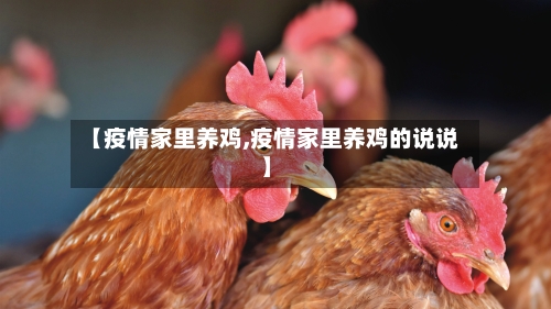 【疫情家里养鸡,疫情家里养鸡的说说】-第2张图片