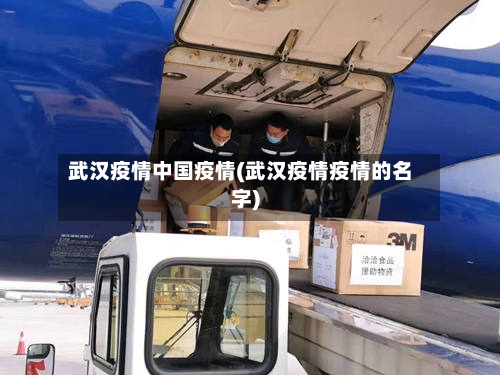 武汉疫情中国疫情(武汉疫情疫情的名字)
