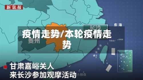 疫情走势/本轮疫情走势