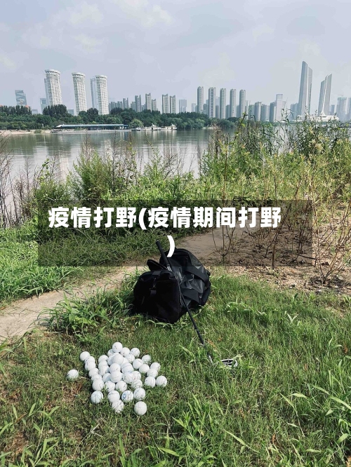 疫情打野(疫情期间打野)