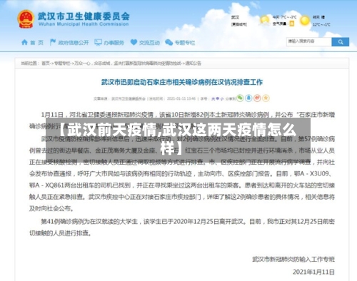 【武汉前天疫情,武汉这两天疫情怎么样】