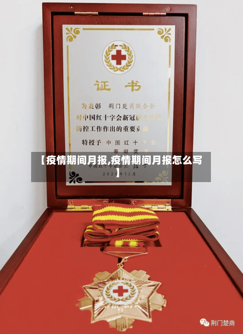 【疫情期间月报,疫情期间月报怎么写】-第2张图片