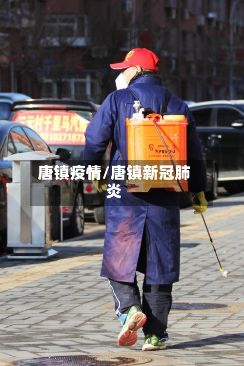 唐镇疫情/唐镇新冠肺炎