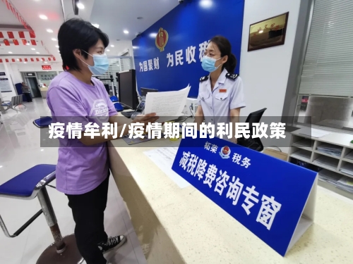 疫情牟利/疫情期间的利民政策