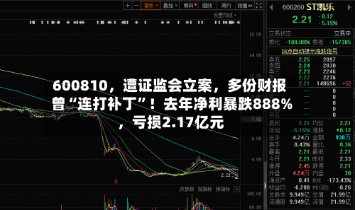 600810，遭证监会立案	，多份财报曾“连打补丁”！去年净利暴跌888%，亏损2.17亿元-第2张图片