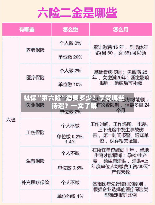 社保“第六险”缴费多少？享受哪些待遇？一文了解