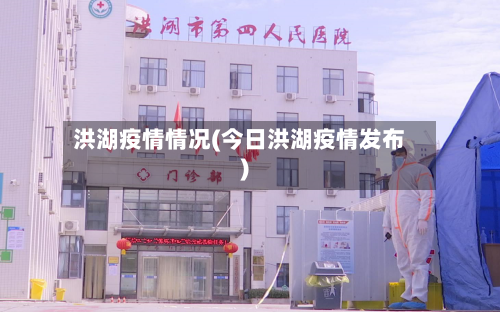 洪湖疫情情况(今日洪湖疫情发布)-第2张图片