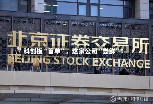科创板“首单”，这家公司“尝鲜”！-第2张图片